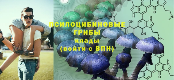 бошки Богданович