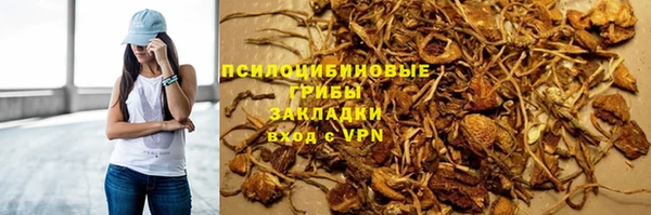 бошки Богданович