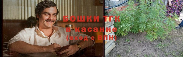 бошки Богданович