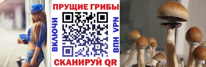 Псилоцибиновые грибы прущие грибы  MEGA ссылки  Карпинск 